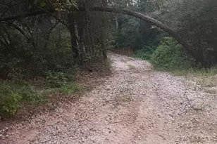 24140 Grand Pines Rd, Magnolia, TX 77355 - Photo 5