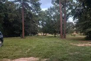 24140 Grand Pines Rd, Magnolia, TX 77355 - Photo 3