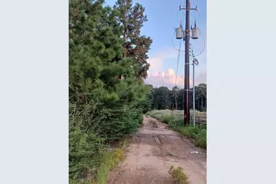 24140 Grand Pines Road, Magnolia, TX 77355 - Photo 11