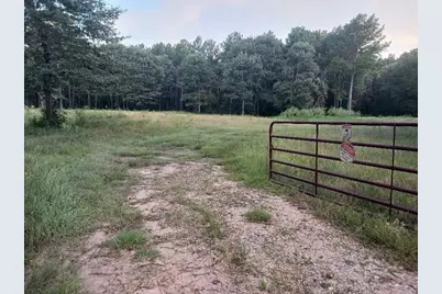 24140 Grand Pines Road, Magnolia, TX 77355 - Photo 7