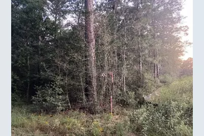 24140 Grand Pines Road, Magnolia, TX 77355 - Photo 13