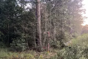 24140 Grand Pines Rd, Magnolia, TX 77355 - Photo 13