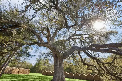 10137 Fm-390 W, Burton, TX 77835 - Photo 45