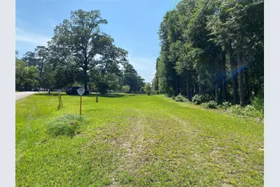 2107 Roman Forest Boulevard, New Caney, TX 77357 - Photo 3