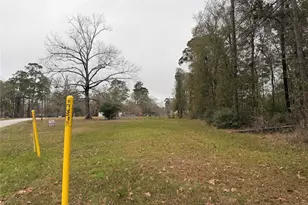 2107 Roman Forest Blvd, New Caney, TX 77357 - Photo 19