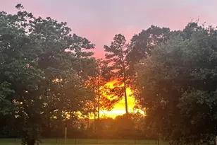 16180 Oak Lawn Dr, Splendora, TX 77372 - Photo 49