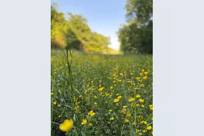 000 County Road 855, Teague, TX 75860 - Photo 17