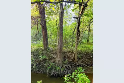000 County Road 855, Teague, TX 75860 - Photo 7