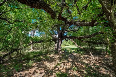 Tbd Cr 253, Weimar, TX 78962 - Photo 5