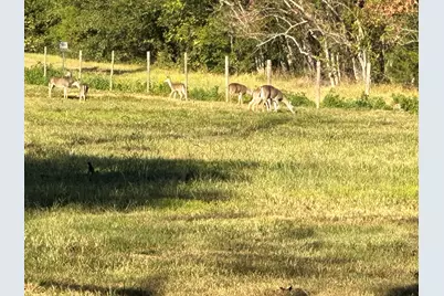 313 Roy Road, Wallisville, TX 77597 - Photo 37