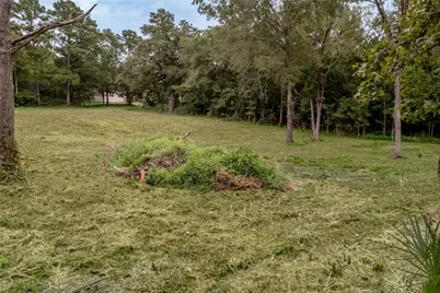 Tbd Johnson Street, Riverside, TX 77320 - Photo 25