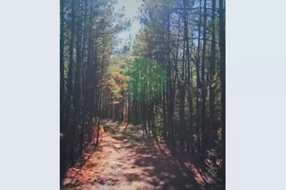 1764 Howler Way, Montgomery, TX 77316 - Photo 39