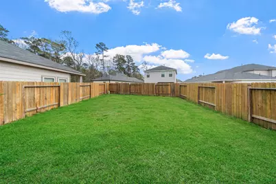 24716 Thornbluff Briar Trail, Houston, TX 77336 - Photo 19