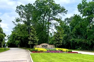 67 N Glenwild Cir, Spring, TX 77389 - Photo 1