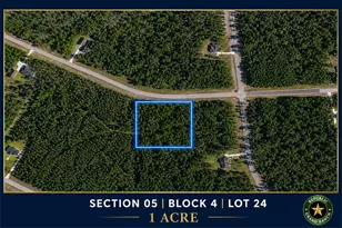 15813 Wood Grv Wy, Willis, TX 77378 - Photo 1