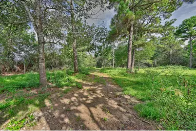 519 Sunflower Lane, New Ulm, TX 78950 - Photo 25