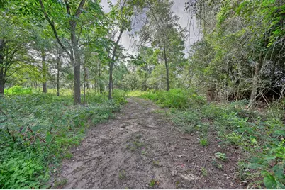 519 Sunflower Lane, New Ulm, TX 78950 - Photo 23