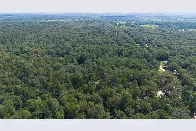 Tdb Foyt Drive, Livingston, TX 77351 - Photo 11