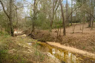 11706 Bogs Ct, Tomball, TX 77375 - Photo 41