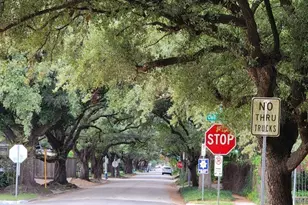 1621 California St, Houston, TX 77006 - Photo 11