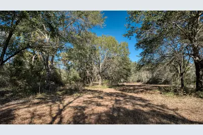 40934 Thomas Lane, Hempstead, TX 77445 - Photo 37