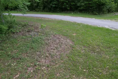 681 Plum Tree, Livingston, TX 77351 - Photo 3