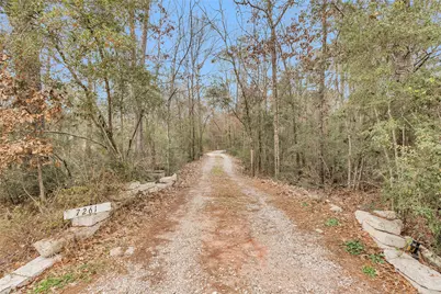 7261 Forest Hills Drive, Montgomery, TX 77316 - Photo 41