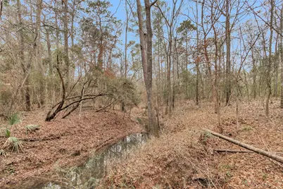 7261 Forest Hills Drive, Montgomery, TX 77316 - Photo 37