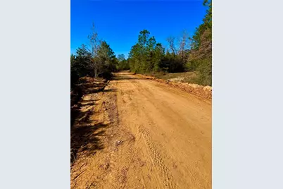 2845 County Road, Colmesneil, TX 75938 - Photo 1