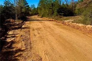 2845 County Rd, Colmesneil, TX 75938 - Photo 1