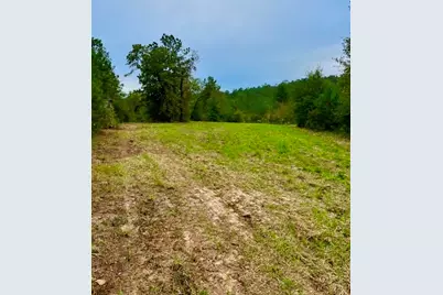 2845 County Road, Colmesneil, TX 75938 - Photo 27