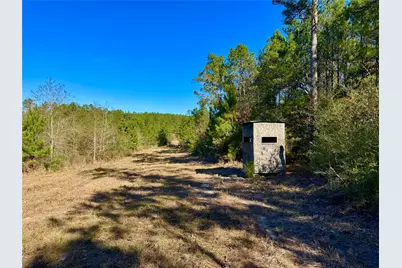2845 County Road, Colmesneil, TX 75938 - Photo 25