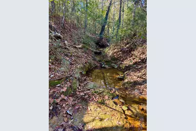 2845 County Road, Colmesneil, TX 75938 - Photo 17