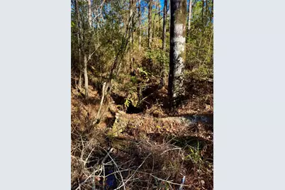 2845 County Road, Colmesneil, TX 75938 - Photo 7