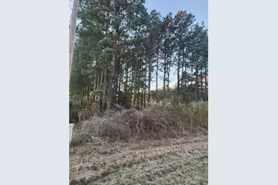 133 County Road 5003, Cleveland, TX 77327 - Photo 1