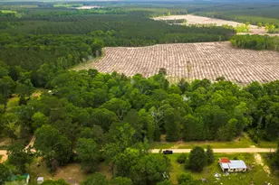419 Vanderbilt, Livingston, TX 77351 - Photo 27