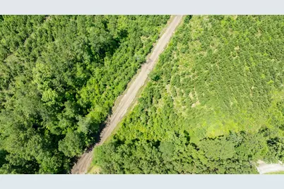 Tbd Sandy Creed Rd, Zavalla, TX 75980 - Photo 5