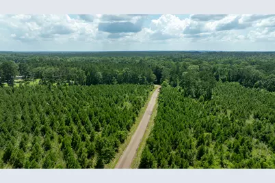 Tbd Sandy Creed Rd, Zavalla, TX 75980 - Photo 3