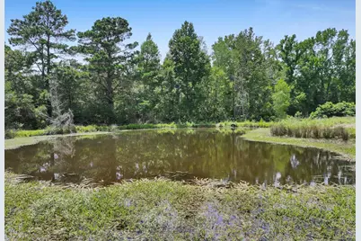 8323 County Road 292, Buffalo, TX 75831 - Photo 9