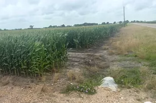 0 FM 1162, Wharton, TX 77437 - Photo 1