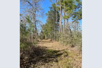 16065 N Tierra Buena N, Plantersville, TX 77363 - Photo 25