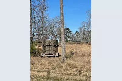 16065 N Tierra Buena N, Plantersville, TX 77363 - Photo 17