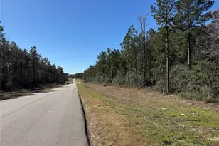 15999 Wood Grv Wy, Willis, TX 77378 - Photo 11