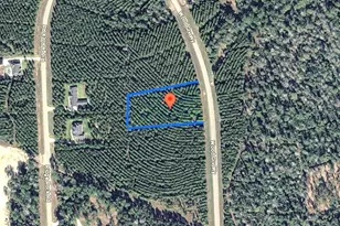 15999 Wood Grv Wy, Willis, TX 77378 - Photo 3