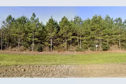 15999 Wood Grove Way, Willis, TX 77378 - Photo 9