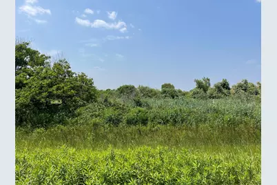 672 Hwy 87, Gilchrist, TX 77617 - Photo 3