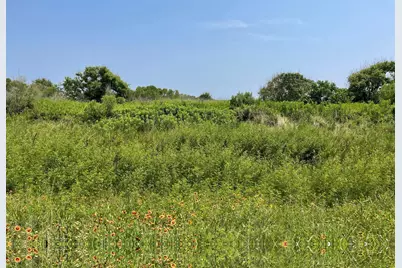 672 Hwy 87, Gilchrist, TX 77617 - Photo 5