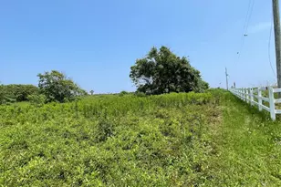 672 Hwy 87, Gilchrist, TX 77617 - Photo 1