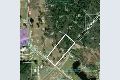 Lot 28 Lake Livingston Lane, Trinity, TX 75862 - Photo 1