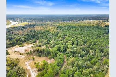 Lot 28 Lake Livingston Lane, Trinity, TX 75862 - Photo 11